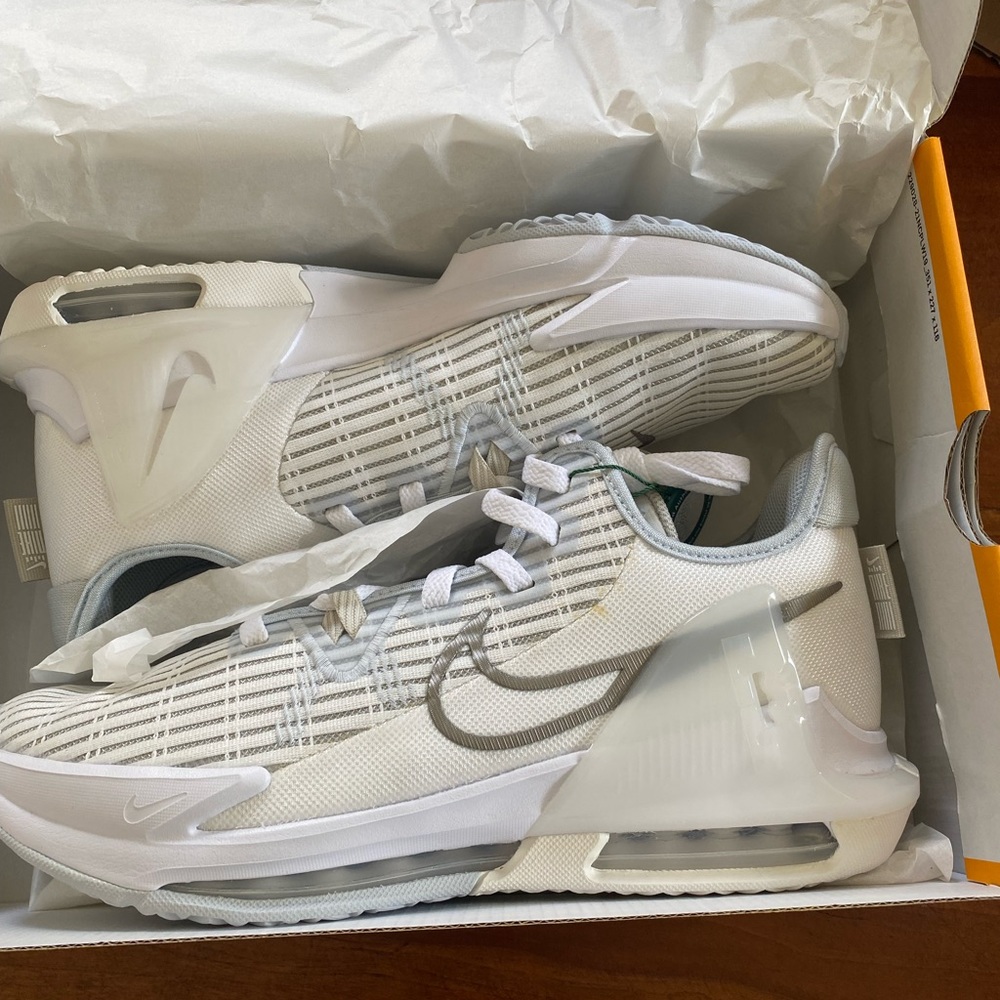 New Nike LeBron Witness VI